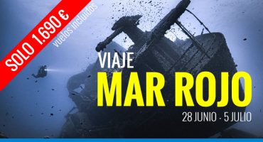 viaje de buceo al mar rojo
